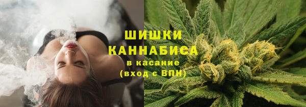 каннабис Белокуриха